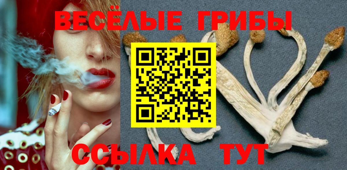 Галлюциногенные грибы Magic Shrooms Кореновск