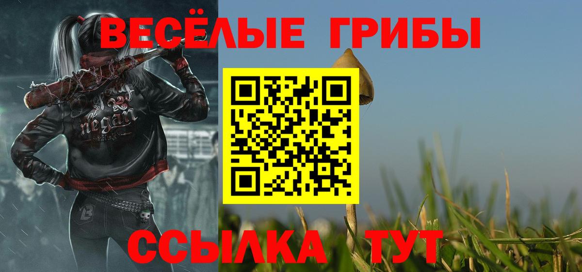 Псилоцибиновые грибы GOLDEN TEACHER  Вход с VPN  купить наркотик  Кореновск 